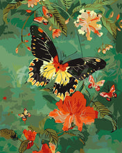 Load image into Gallery viewer, Paint by numbers kit for adults Troides Minos Butterfly Figured'Art UK