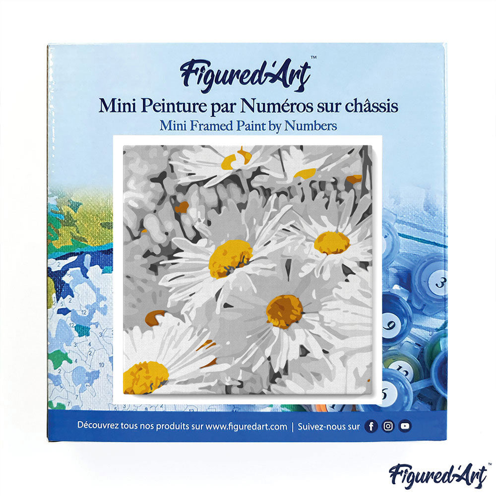 Mini Paint by numbers Daisies Field 20x20cm already framed Figured'Art