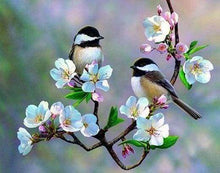 Load image into Gallery viewer, Diamond Painting | Diamond Painting - Small Birds and White Flowers | animals birds Diamond Painting Animals Diamond Painting Flowers