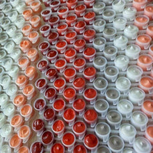 Load image into Gallery viewer, | Extra Paint Kit | others | usa.figuredart