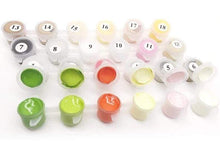 Load image into Gallery viewer, | Extra Paint Kit | others | usa.figuredart