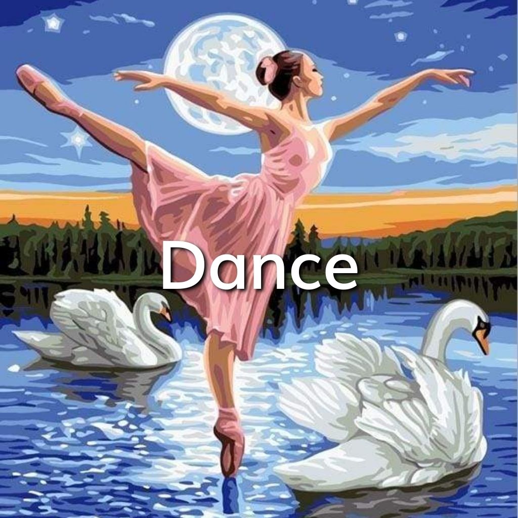 Paint by Numbers Dance Figured'Art