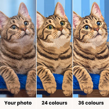 Load image into Gallery viewer, Custom Paint by Number