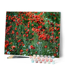 Load image into Gallery viewer, paint by numbers | Balsamine | advanced flowers | FiguredArt