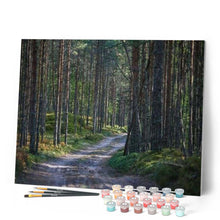 Load image into Gallery viewer, paint by numbers | Path in the Forest | advanced landscapes mountains | FiguredArt