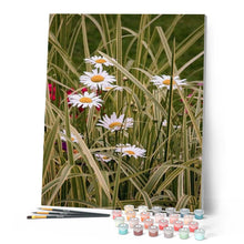 Load image into Gallery viewer, paint by numbers | Marguerites in the garden | advanced flowers | FiguredArt