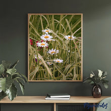 Load image into Gallery viewer, paint by numbers | Marguerites in the garden | advanced flowers | FiguredArt