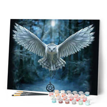 Load image into Gallery viewer, paint by numbers | Owl and Cross Necklace | advanced animals owls | FiguredArt