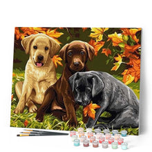 Load image into Gallery viewer, paint by numbers | Three Dogs | animals dogs intermediate | FiguredArt