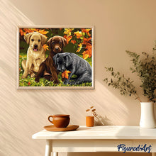 Load image into Gallery viewer, paint by numbers | Three Dogs | animals dogs intermediate | FiguredArt