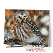 Load image into Gallery viewer, paint by numbers | Gray Owl | animals intermediate owls | FiguredArt