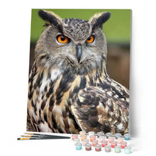 Load image into Gallery viewer, paint by numbers | Owl with Orange Eyes Portrait | advanced animals owls | FiguredArt
