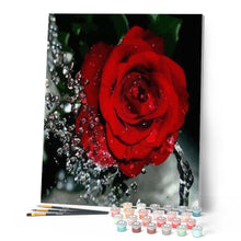 Load image into Gallery viewer, paint by numbers | Red Rose Fragrance | easy flowers | FiguredArt