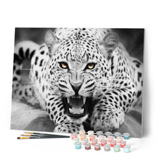 Load image into Gallery viewer, paint by numbers | Leopard Black And White | animals intermediate leopards | FiguredArt