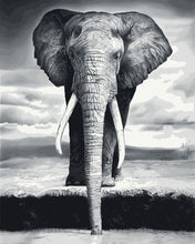 Load image into Gallery viewer, paint by numbers | Grey Elephant | animals easy elephants | FiguredArt