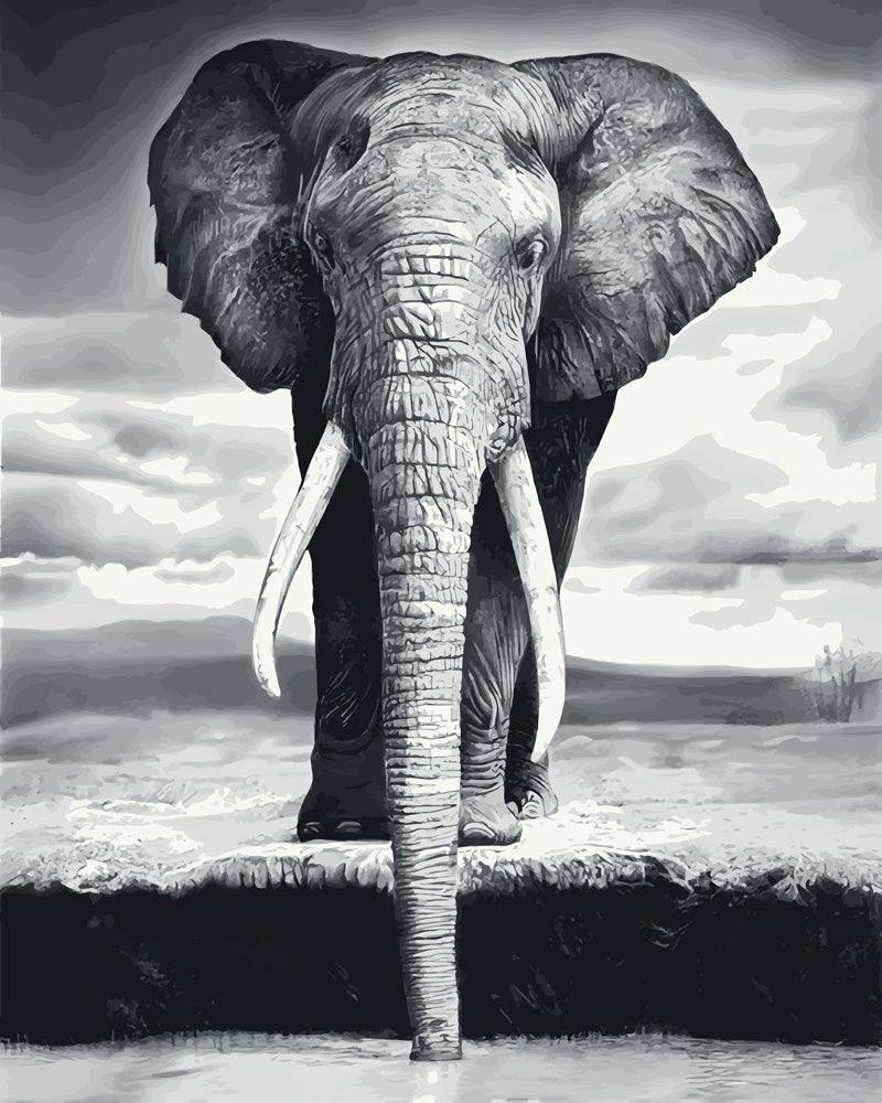 paint by numbers | Grey Elephant | animals easy elephants | FiguredArt