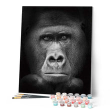 Load image into Gallery viewer, paint by numbers | Gorilla Black And White | advanced animals monkeys | FiguredArt