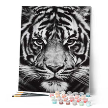 Load image into Gallery viewer, paint by numbers | Tiger Head Black And White | advanced animals tigers | FiguredArt