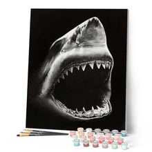 Load image into Gallery viewer, paint by numbers | Shark Black And White | advanced animals fish | FiguredArt