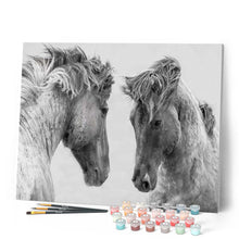 Load image into Gallery viewer, paint by numbers | Confrontation Two Horses | advanced animals horses | FiguredArt