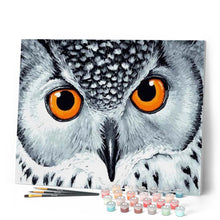 Load image into Gallery viewer, paint by numbers | Owl with Orange Eyes | animals intermediate owls | FiguredArt