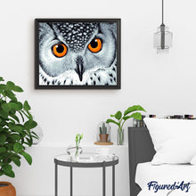 Load image into Gallery viewer, paint by numbers | Owl with Orange Eyes | animals intermediate owls | FiguredArt