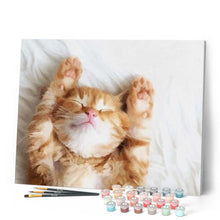 Load image into Gallery viewer, paint by numbers | Cat Nap | animals cats intermediate | FiguredArt