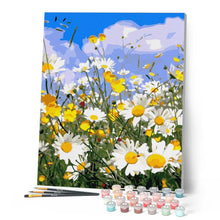 Load image into Gallery viewer, Paint by numbers | Daisy fields and blue sky | advanced flowers new arrivals landscapes | Figured'Art