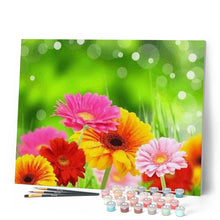 Load image into Gallery viewer, paint by numbers | Spring Flowers | flowers intermediate | FiguredArt
