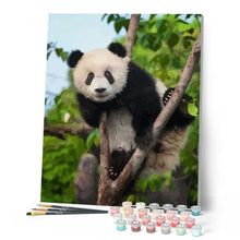 Load image into Gallery viewer, paint by numbers | Panda In Tree | animals intermediate pandas trees | FiguredArt