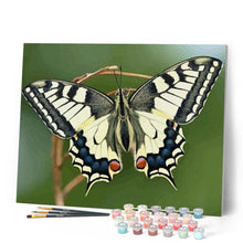 Load image into Gallery viewer, paint by numbers | Butterfly Wings | animals butterflies intermediate | FiguredArt