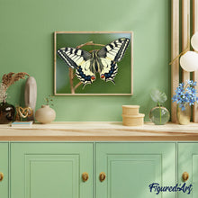 Load image into Gallery viewer, paint by numbers | Butterfly Wings | animals butterflies intermediate | FiguredArt