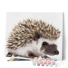 Load image into Gallery viewer, paint by numbers | Hedgehog | animals hedgehogs intermediate | FiguredArt