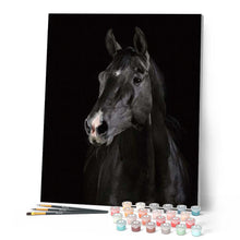 Load image into Gallery viewer, paint by numbers | Dark Horse | animals easy horses | FiguredArt