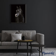 Load image into Gallery viewer, paint by numbers | Dark Horse | animals easy horses | FiguredArt