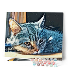 Load image into Gallery viewer, paint by numbers | American Shorthair Cat | animals cats easy | FiguredArt