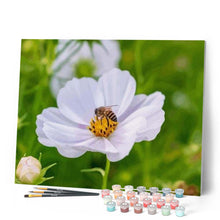 Load image into Gallery viewer, paint by numbers | Flower Bees | flowers intermediate | FiguredArt