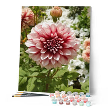 Load image into Gallery viewer, paint by numbers | Dahlia Flower | advanced flowers | FiguredArt