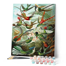 Load image into Gallery viewer, paint by numbers | All the Birds | advanced animals birds new arrivals | FiguredArt