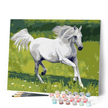 Load image into Gallery viewer, paint by numbers | White Horse in the Field | animals easy horses | FiguredArt