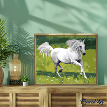 Load image into Gallery viewer, paint by numbers | White Horse in the Field | animals easy horses | FiguredArt
