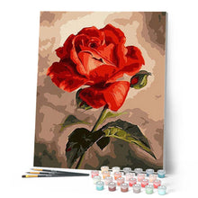 Load image into Gallery viewer, paint by numbers | beautiful red rose | new arrivals flowers easy | FiguredArt