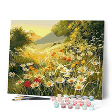 Load image into Gallery viewer, paint by numbers | marguerite daisies in the countryside | new arrivals landscapes flowers advanced | FiguredArt