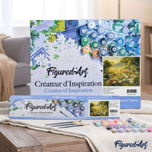 Load image into Gallery viewer, paint by numbers | marguerite daisies in the countryside | new arrivals landscapes flowers advanced | FiguredArt