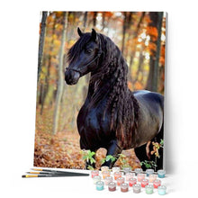 Load image into Gallery viewer, paint by numbers | black horse in the forest | new arrivals animals horses intermediate | FiguredArt