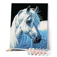 Load image into Gallery viewer, paint by numbers | White Horse Head | animals easy horses | FiguredArt