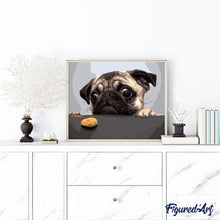 Load image into Gallery viewer, paint by numbers | Pug Dog | animals dogs intermediate | FiguredArt