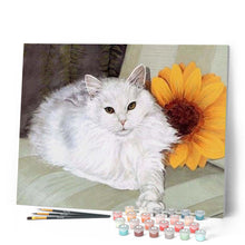 Load image into Gallery viewer, paint by numbers | White Cat and Sunflower | animals cats intermediate | FiguredArt