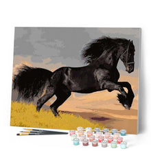 Load image into Gallery viewer, paint by numbers | Black Stallion | animals easy horses | FiguredArt