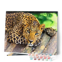 Load image into Gallery viewer, Paint by numbers | Beautiful cheetah | animals advanced panthers | Figured'Art